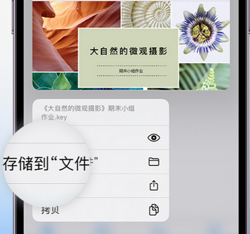 顺德apple维修中心分享iPhone文件应用中存储和找到下载文件