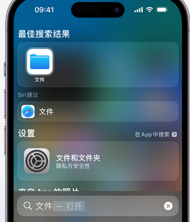 顺德apple维修中心分享iPhone文件应用中存储和找到下载文件 