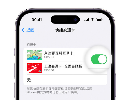 顺德apple维修点分享iPhone上更换Apple Pay快捷交通卡手绘卡面 