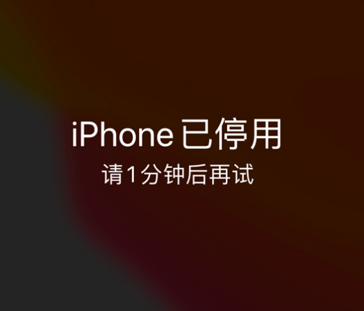 顺德苹果手机维修分享:iPhone 显示“不可用”或“已停用”怎么办？还能保留数据吗？ 