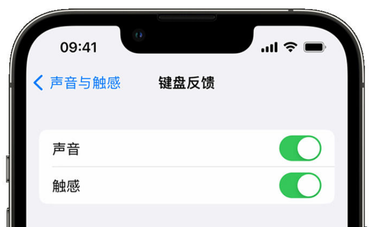 顺德苹果手机维修分享iPhone 14触感键盘使用方法 