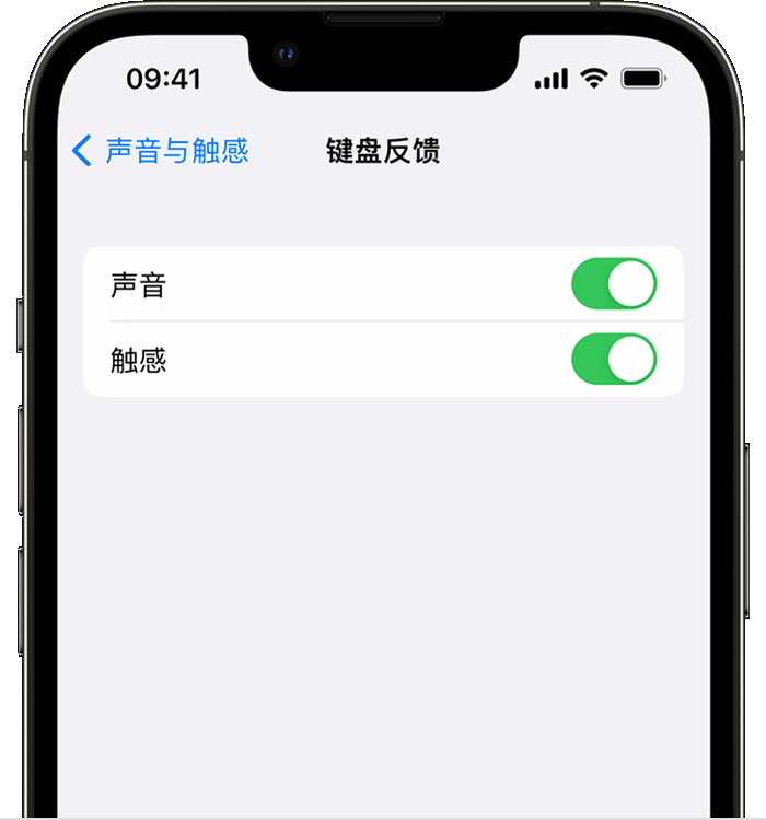 顺德苹果14维修店分享如何在 iPhone 14 机型中使用触感键盘 