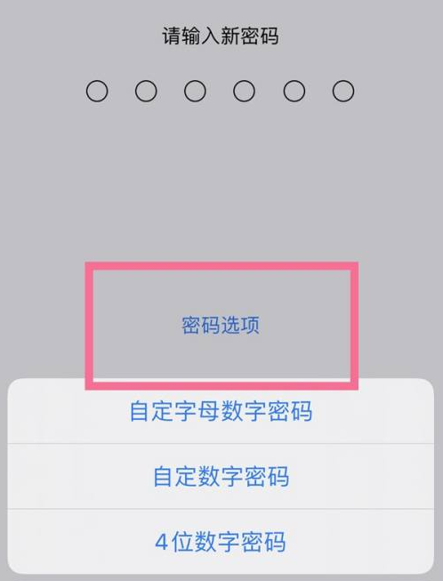 顺德苹果14维修分享iPhone 14plus设置密码的方法 