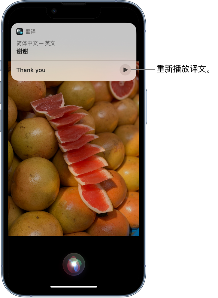 顺德苹果14维修分享 iPhone 14 机型中使用 Siri：了解 Siri 能帮你做什么 