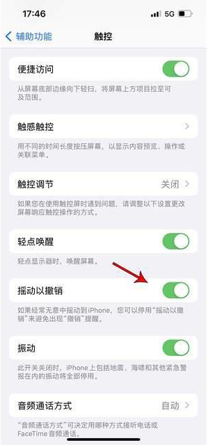 顺德苹果手机维修分享iPhone手机如何设置摇一摇删除文字 