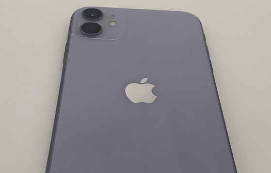 顺德苹果11系统维修分享iPhone11手机系统崩溃无法开机如何解决 